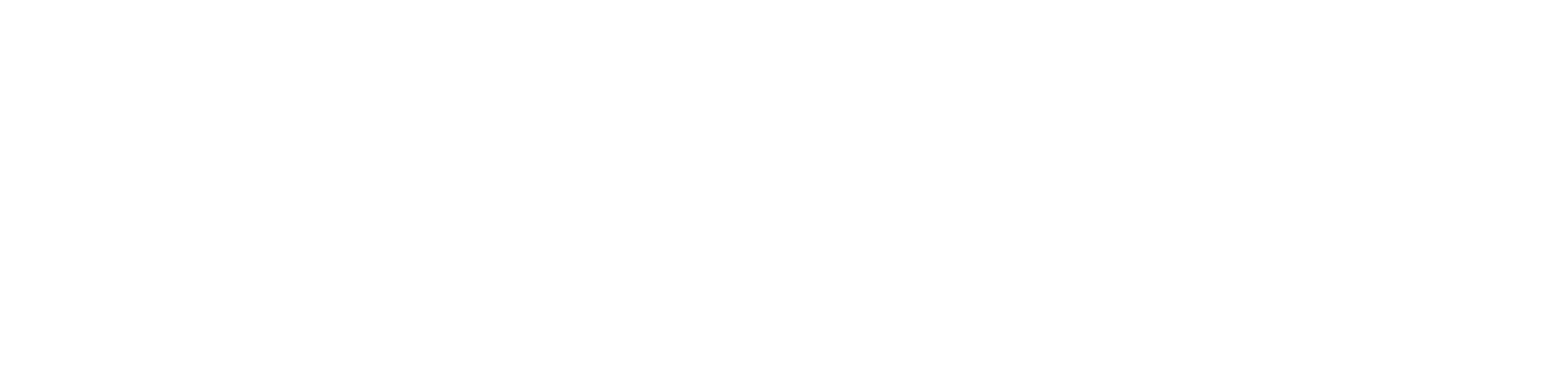Amerilingua