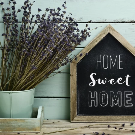 Home Sweet Home | ESL Lesson Plan